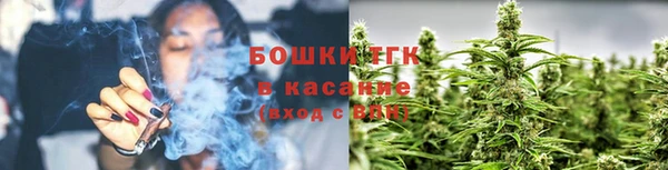спиды Заводоуковск
