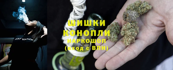 спиды Заводоуковск