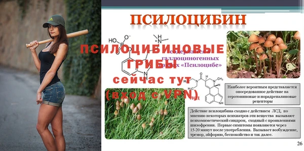 спиды Заводоуковск