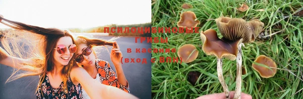 таблы Заволжье