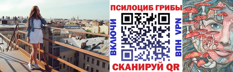 Купить  Емва  Галлюциногенные грибы Psilocybe 